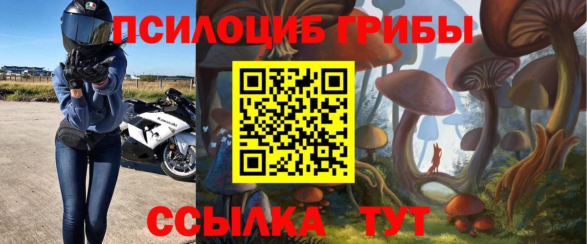 Галлюциногенные грибы мицелий Железногорск
