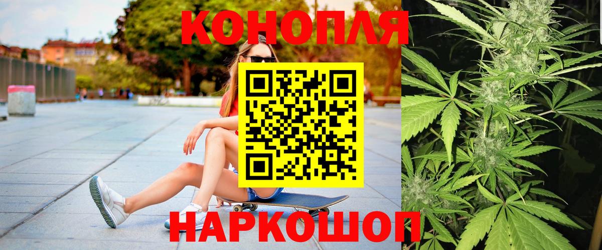 Бошки марихуана ГИДРОПОН  Вход с VPN  Бошки марихуана сатива  Железногорск  Марихуана сатива 